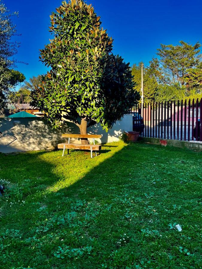 Il Casaletto Di Laura Bed and Breakfast Fiumicino Buitenkant foto